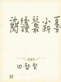 沈绣琴小夏全文阅读最新章节