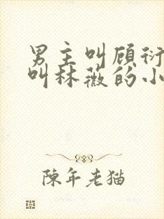 男主叫顾衍女主叫林薇的小说封面