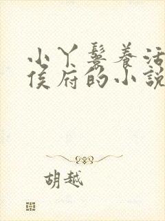 小丫鬟养活整个侯府的小说免费