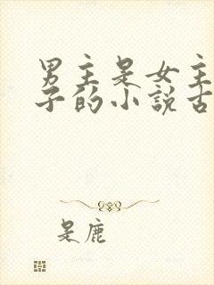 男主是女主小叔子的小说古文