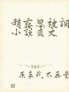 赵露思被调教h小说爽文