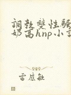 调教双性骚货大奶高hnp小说