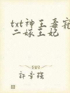 txt神王毒宠二嫁王妃