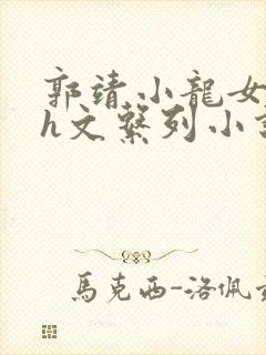 郭靖小龙女高辣h文系列小说阅读