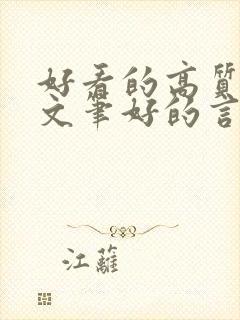 好看的高质量的文笔好的言情