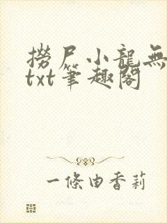 捞尸小龙无弹窗txt笔趣阁