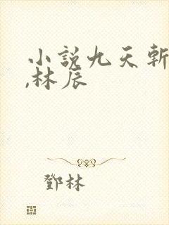 小说九天斩神诀,林辰