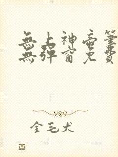 无上神帝笔趣阁无弹窗免费阅读封面