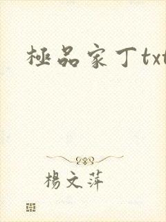极品家丁txt