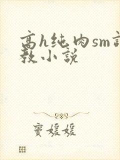 高h纯肉sm调教小说封面