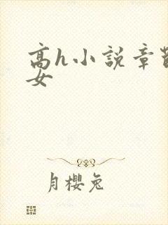 高h小说章节男女