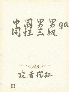 中国男男gay同性三级