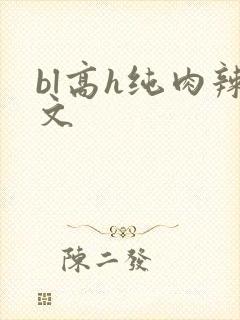 bl高h纯肉辣文封面
