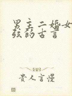 男主二婚女主续弦的古言封面