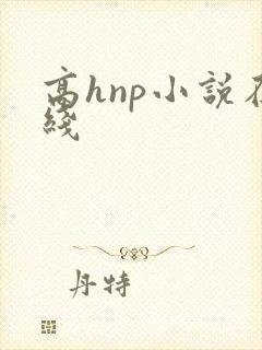 高hnp小说在线