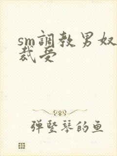 sm调教男奴总裁受