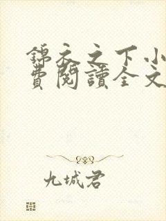 锦衣之下小说免费阅读全文无删减