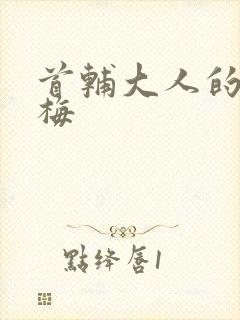 首辅大人的小青梅