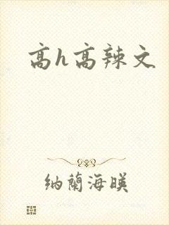 高h高辣文