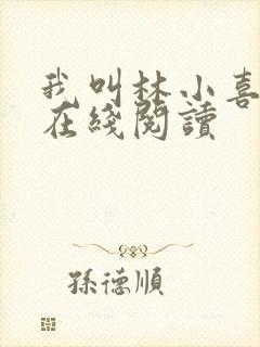 我叫林小喜小说在线阅读