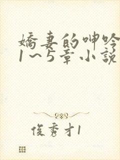 娇妻的呻吟张妍1～5章小说