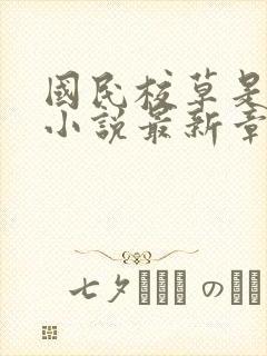 国民校草是女生小说最新章节封面