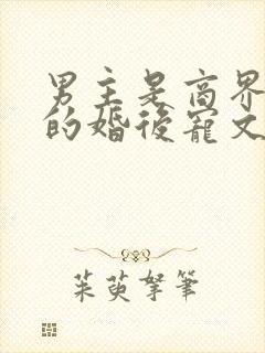 男主是商界大佬的婚后宠文