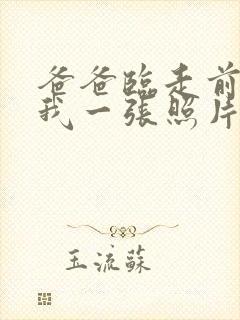 爸爸临走前留给我一张照片小说