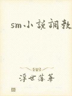 sm小说调教h