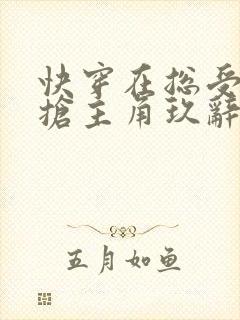 快穿在总受文里抢主角玖辞txt