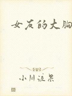 女友的大胸小说