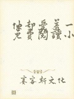 他却爱着一个他免费阅读小说封面