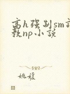 高h强制sm调教np小说