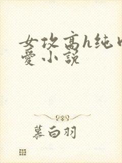 女攻高h纯肉四爱小说封面