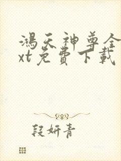 鸿天神尊全本txt免费下载