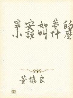 宁安如梦的原著小说叫什么