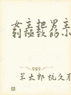 女主把男主囚禁到极致的小说