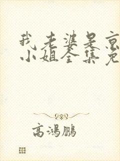 我老婆是京圈大小姐全集免费阅读