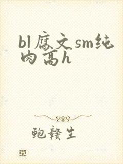 bl腐文sm纯肉高h