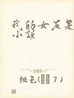 我的女友是总裁小说