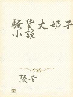 骚货大奶子言情小说