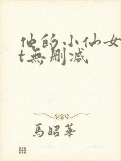 他的小仙女txt无删减封面