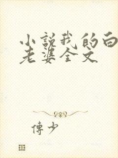 小说我的白富美老婆全文封面