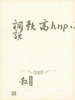 调教高hnp小说封面