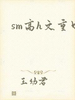 sm高h文重口