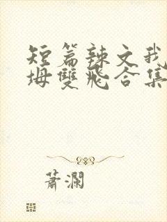短篇辣文我和岳坶双飞合集