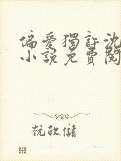 偏爱独许沈倾篱小说免费阅读无弹窗