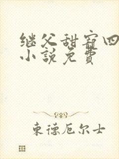 继父甜宠四重奏小说免费