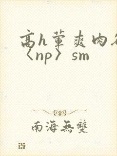高h荤爽肉欲文〈np〉sm