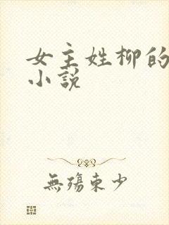 女主姓柳的穿越小说封面
